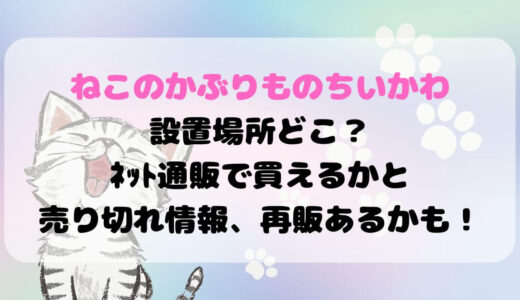 ねこのかぶりものちいかわ設置場所どこ？ﾈｯﾄ通販で買えるかと売り切れ情報、再販あるかも！