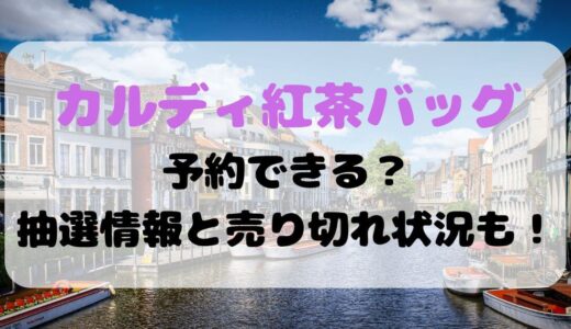 ｶﾙﾃﾞｨKALDI紅茶ﾊﾞｯｸﾞ2023予約できる？抽選情報と売り切れ状況も！